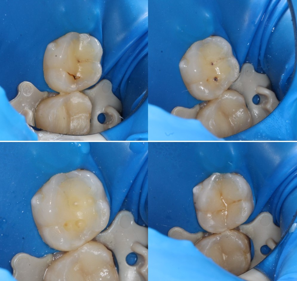 Работы Лоскутова Анастасия Дмитриевна